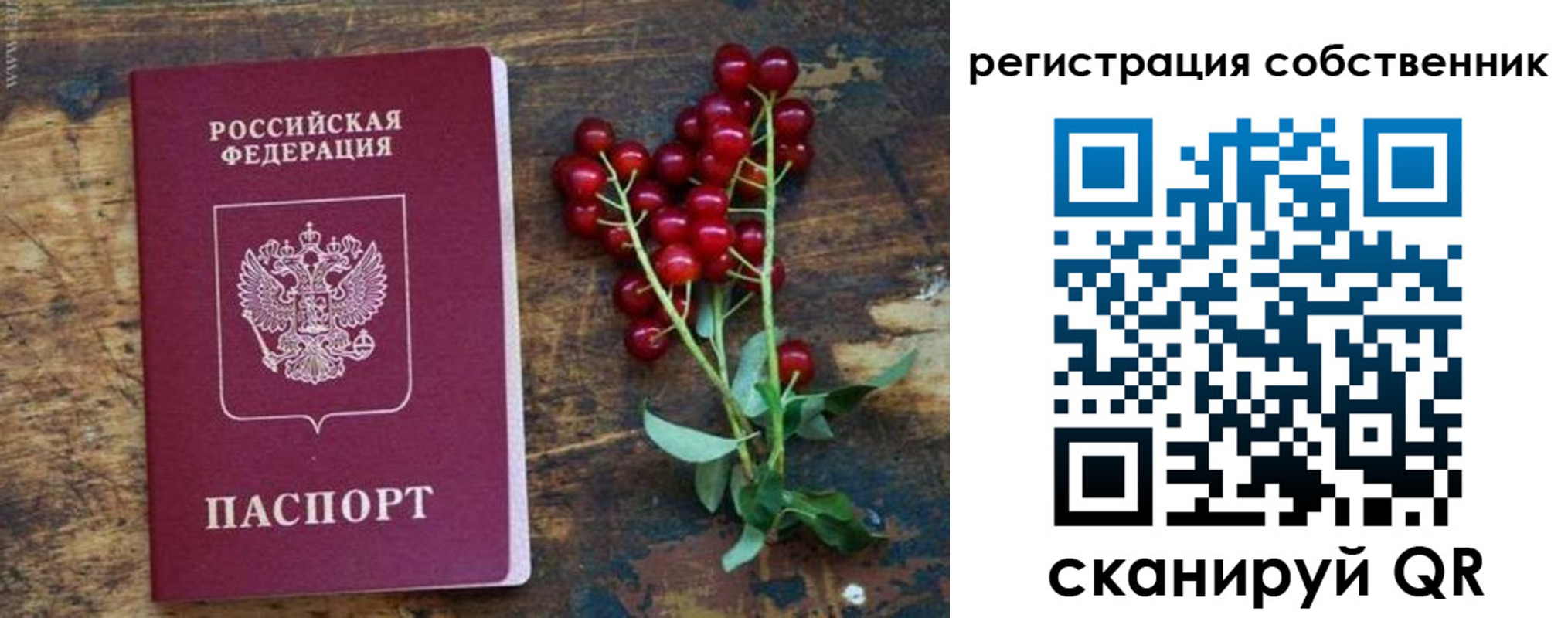регистрация для дет. сада в Балее